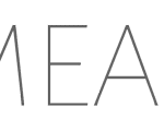 APPelit werkt met mean.js